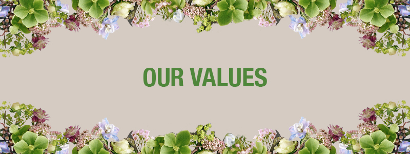 Our values